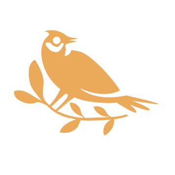 illustration of a bird
